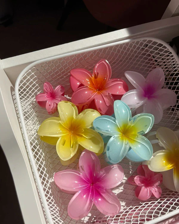 FD61869C-2AD4-4084-876D-F684C7F38293